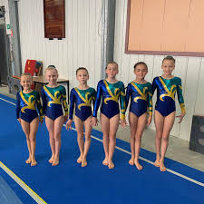 Image result for Lincoln Gymnastics Club