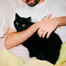 Image result for cat man