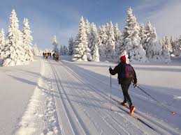 Image result for White Cross Ski Club
