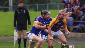 Image result for Sean Treacy`s Hurling Club