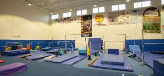 Image result for Goring Gymnastics Club
