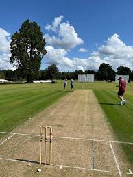 Image result for Cuckfield Cc