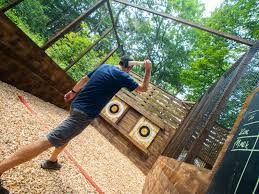 Image result for The Go Ape Experience (Swinley Forest)