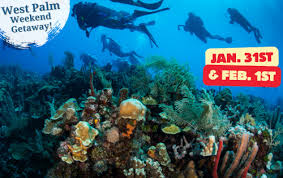 Image result for Great Western Divers