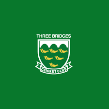 Image result for Three Bridges Cricket Club
