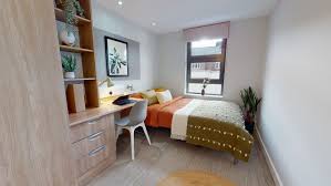 Image result for University of Sheffield Ultimate- Phat 'eds