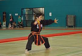 Image result for Kuk Sool Won Of Botesdale