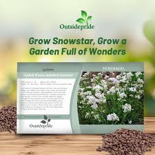 Attēlu rezultāti vaicājumam “Silene viscaria fruit”