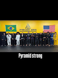 Image result for Pyramid martial arts