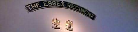 Image result for The Great War Experience, Essex