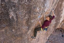 Image result for Powrock