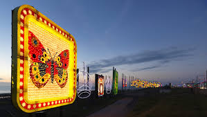 Image result for Blackpool Lights Basketball Club