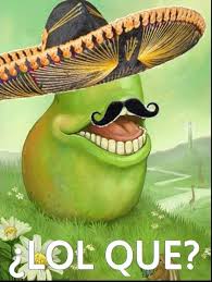 Image result for lol wut