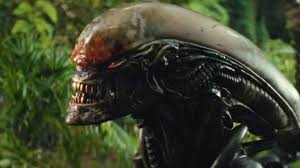 Image result for xenomorph