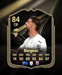 Image result for Ipswich Open Ultimate