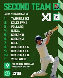 Image result for Redlynch and Hale Cricket Club
