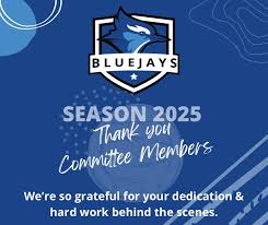 Image result for Jays Netball Club