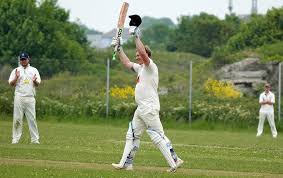 Image result for Portland Red Triangle Cricket Club