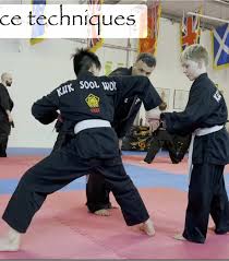 Image result for widnes judo