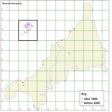 Attēlu rezultāti vaicājumam “Acupalpus flavicollis”