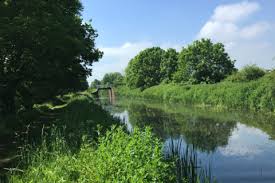 Image result for Taunton Angling Association