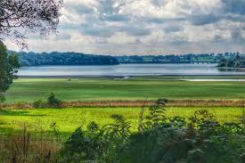 Image result for England Staffordshire Birding Club