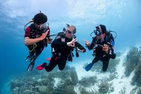 Image result for Dive Crew Scuba Diving
