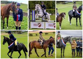 Image result for Peebles & District Riding Club