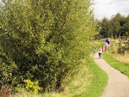 Image result for Swadlincote