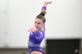 Image result for Arabian School Of Gymnastics