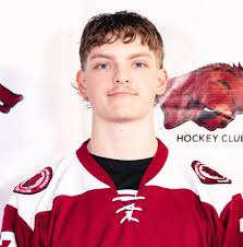 Image result for Lansdown Hockey Club