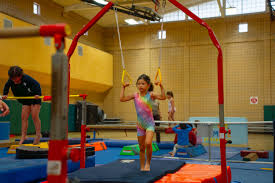 Image result for Redcar School Of Gymnastics