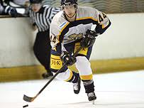 Image result for Haringey Greyhounds Ice Hockey Club
