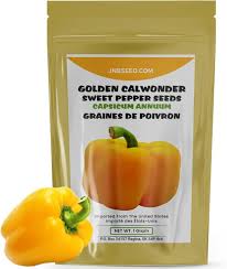 Afbeeldingsresultaat voor californian wonder golden sweet pepper