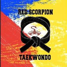 Image result for Scorpion Martial Arts Academy