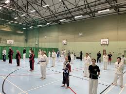 Image result for Leighton Buzzard Tae Kwon-Do Club