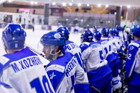Image result for Ice Hockey International