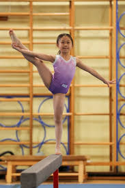 Image result for stonehaven gymnastics club