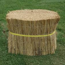 Image result for 붶