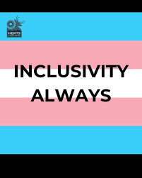 Image result for Hertfordshire Roller Derby