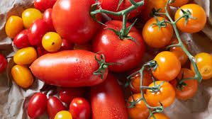 Bildergebnis für tomaten