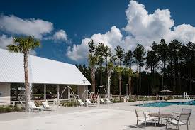 Image result for Brighton Swimming Club