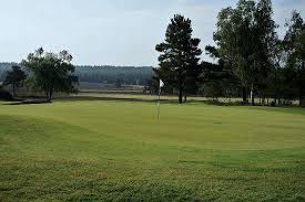 Image result for Hankley Common Golf Club