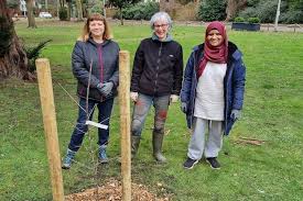 Image result for Crowcroft Park Veterans Social & Bowling Club