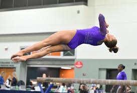 Image result for Breckland Forest Gymnastics Club 2004