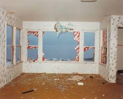 Attēlu rezultāti vaicājumam “Jalla dumosa imago”