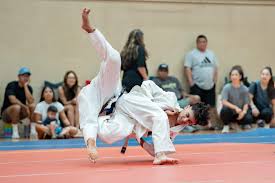 Image result for Mintlaw Judo Club