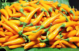 Afbeeldingsresultaat voor thai yellow hot pepper