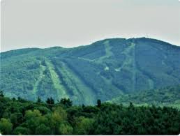 Image result for Newbury Mountain Club