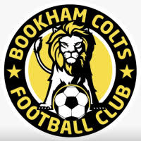 Image result for Bookham Football Club